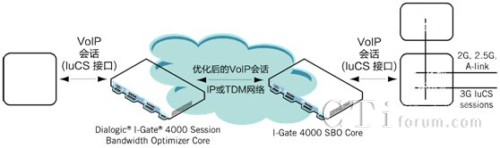 3G �ƄӾW(w��ng)�j(lu��) luCS VoIP ��Ԓ��(y��u)��